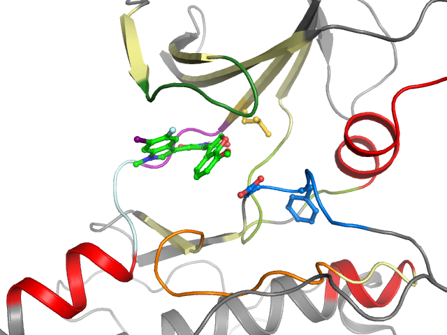 The orthosteric binding pocket