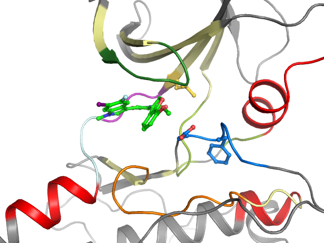 The orthosteric binding pocket