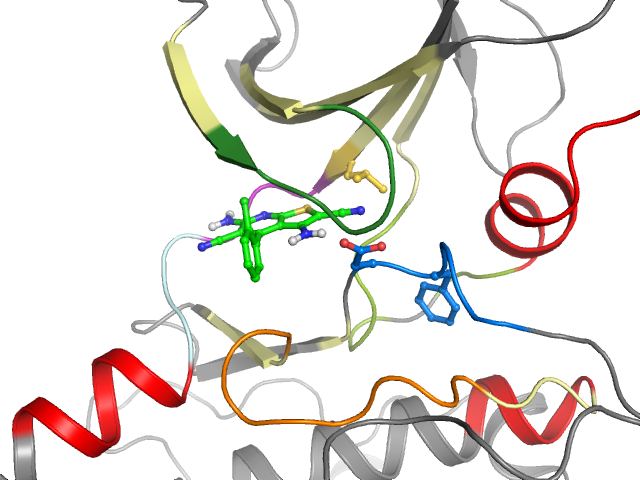 The orthosteric binding pocket