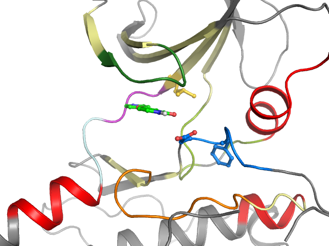 The orthosteric binding pocket
