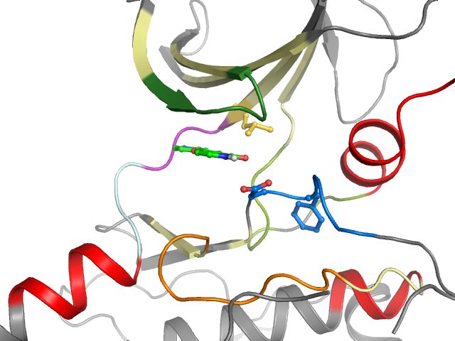 The orthosteric binding pocket