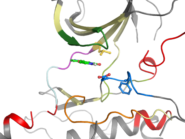 The orthosteric binding pocket