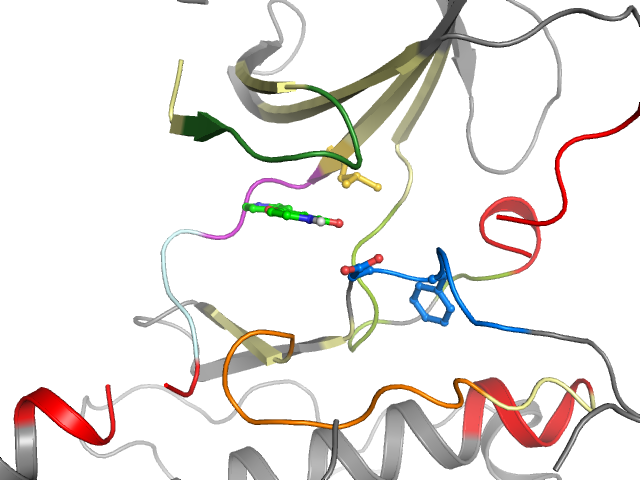 The orthosteric binding pocket