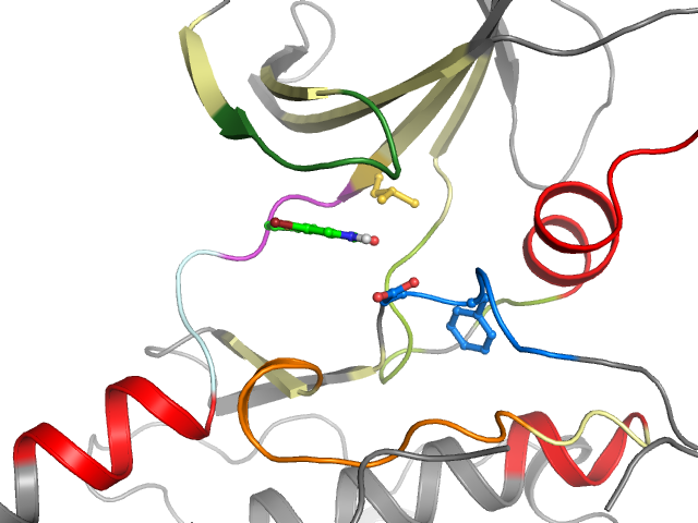 The orthosteric binding pocket