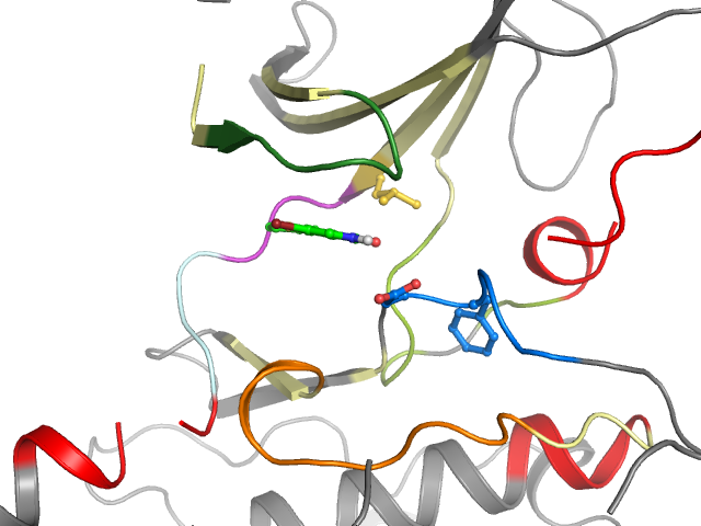 The orthosteric binding pocket