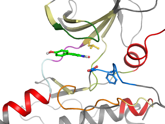The orthosteric binding pocket