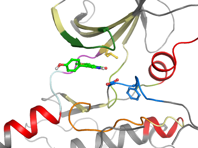 The orthosteric binding pocket
