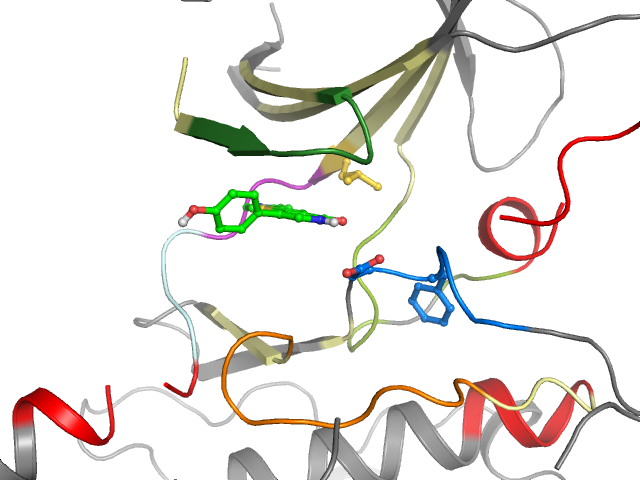 The orthosteric binding pocket