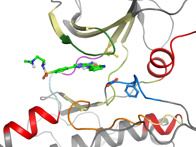 The orthosteric binding pocket