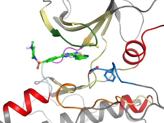 The orthosteric binding pocket
