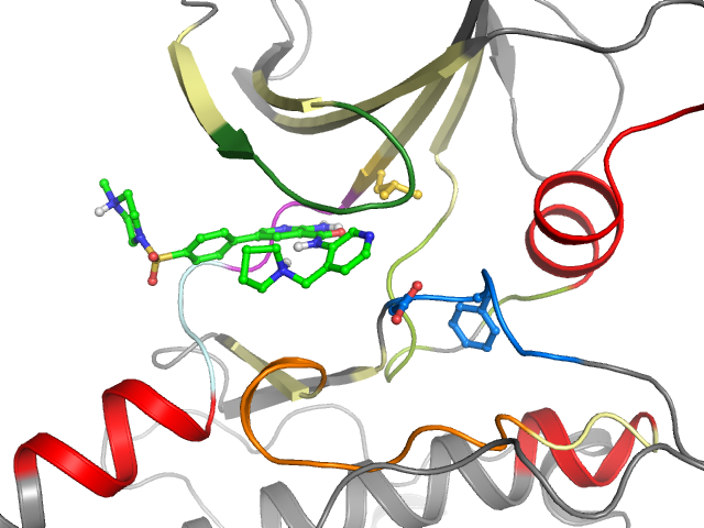 The orthosteric binding pocket