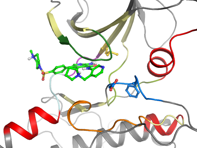 The orthosteric binding pocket