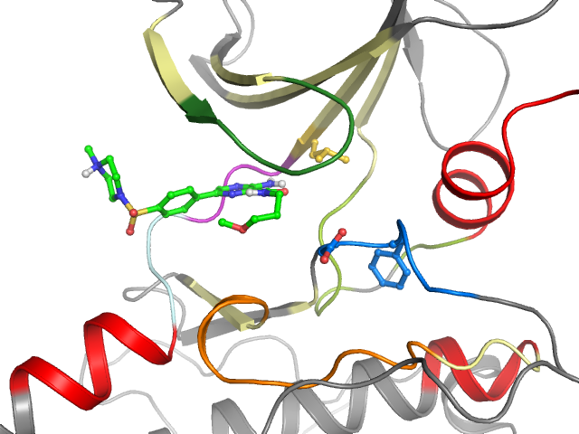 The orthosteric binding pocket