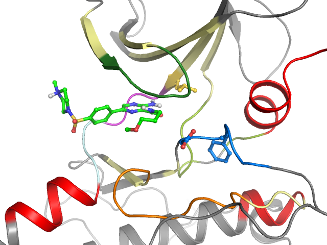 The orthosteric binding pocket