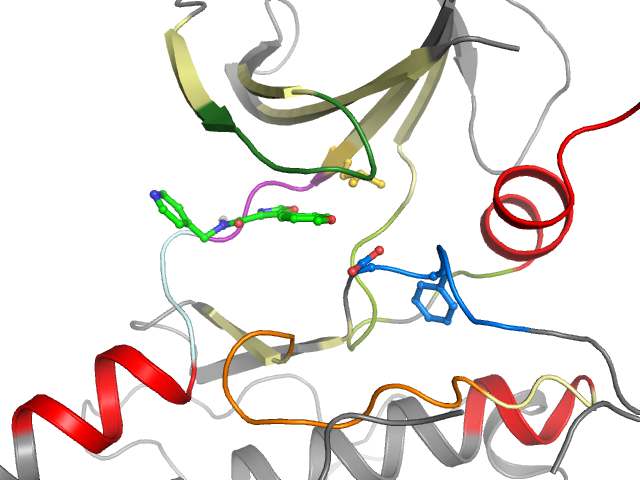 The orthosteric binding pocket