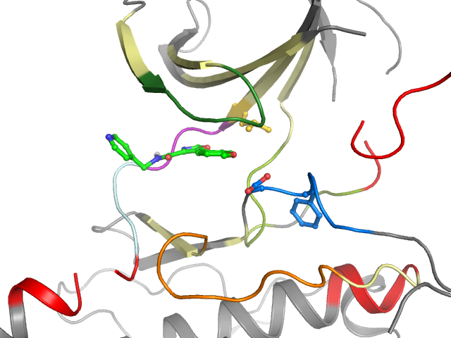 The orthosteric binding pocket