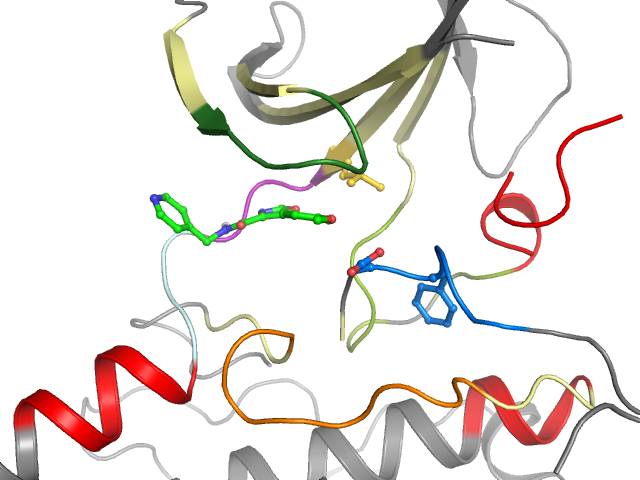 The orthosteric binding pocket
