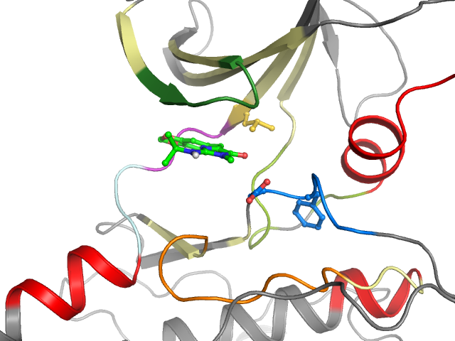 The orthosteric binding pocket