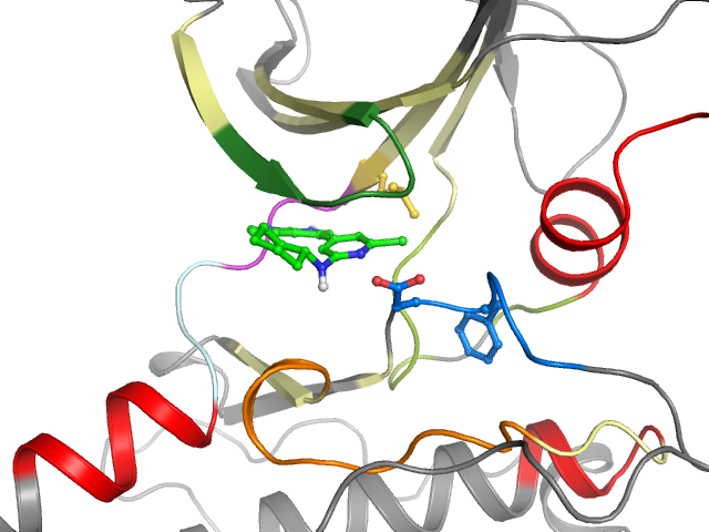 The orthosteric binding pocket