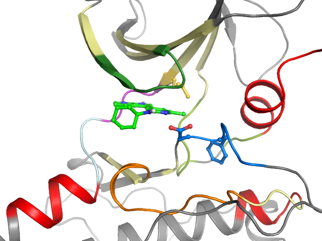 The orthosteric binding pocket