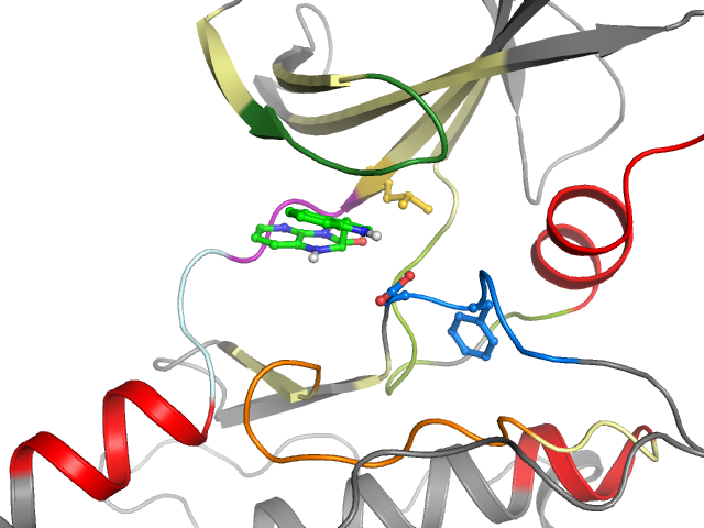 The orthosteric binding pocket