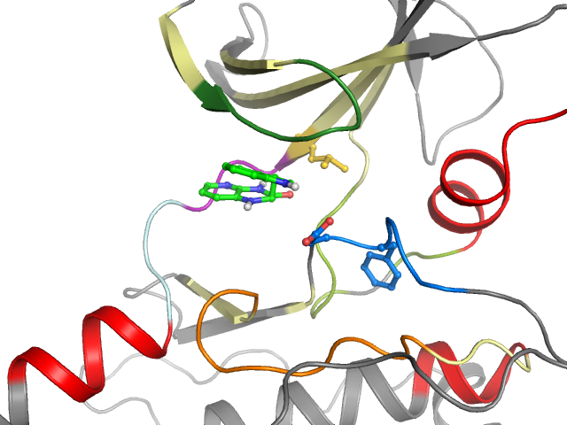 The orthosteric binding pocket