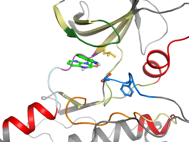 The orthosteric binding pocket