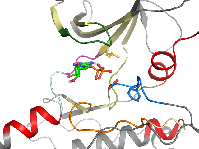 The orthosteric binding pocket