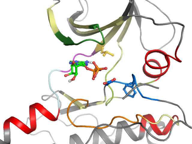 The orthosteric binding pocket