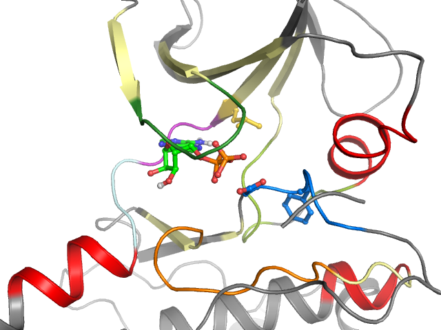 The orthosteric binding pocket