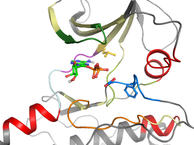 The orthosteric binding pocket