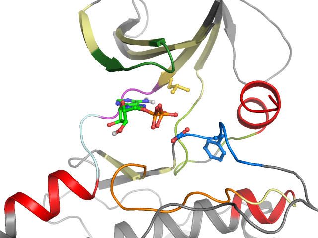 The orthosteric binding pocket