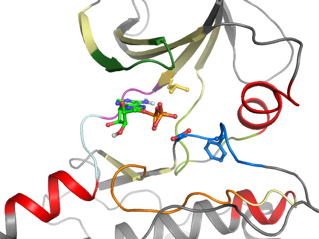 The orthosteric binding pocket
