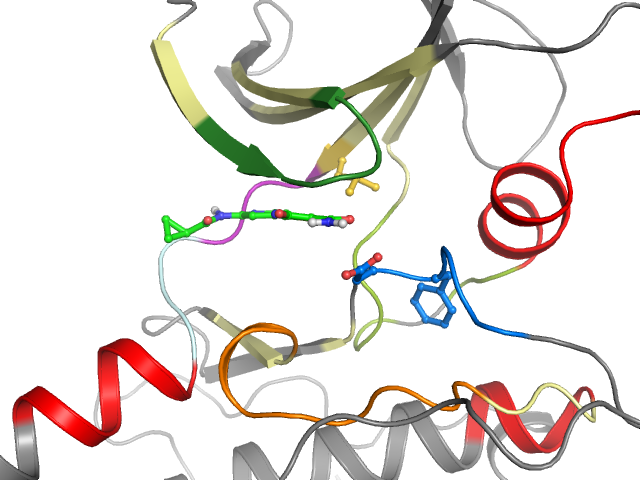 The orthosteric binding pocket