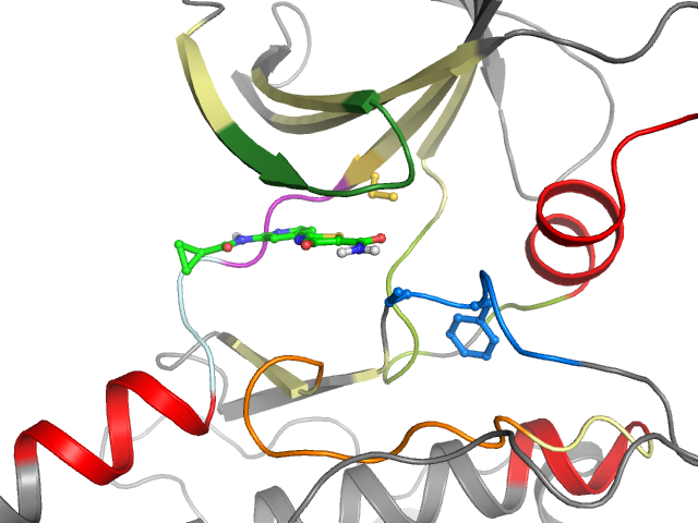 The orthosteric binding pocket