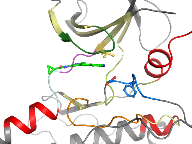 The orthosteric binding pocket