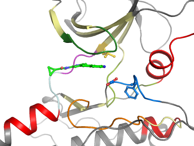 The orthosteric binding pocket