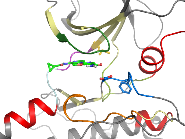 The orthosteric binding pocket