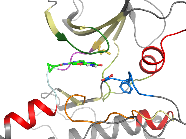 The orthosteric binding pocket