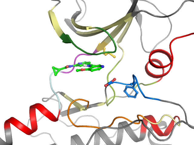 The orthosteric binding pocket