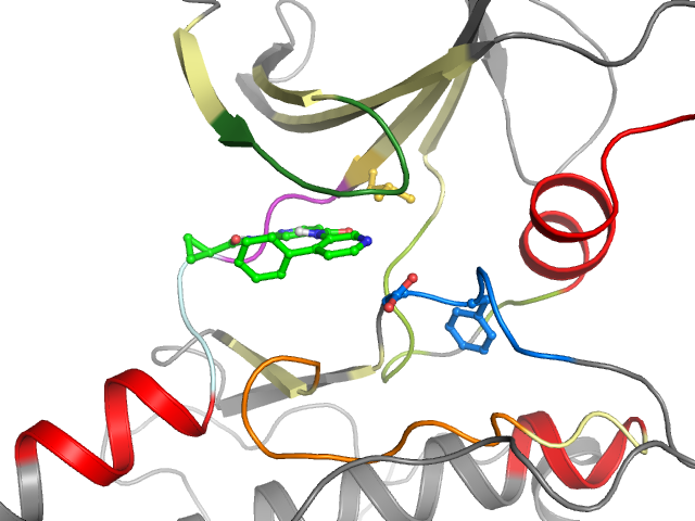 The orthosteric binding pocket