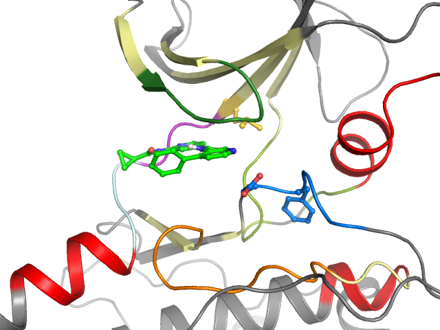 The orthosteric binding pocket
