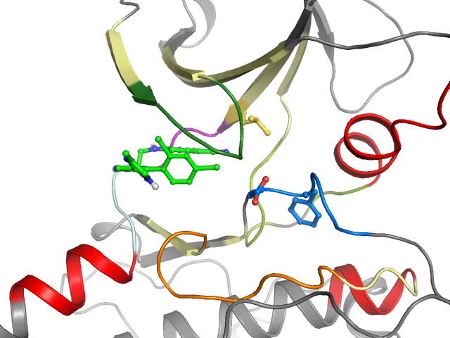 The orthosteric binding pocket