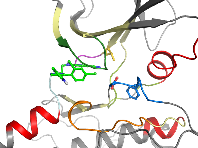 The orthosteric binding pocket