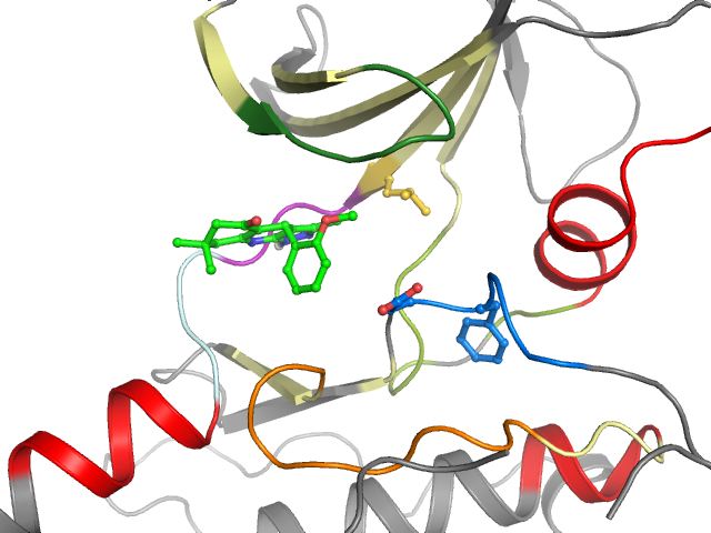 The orthosteric binding pocket