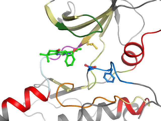 The orthosteric binding pocket