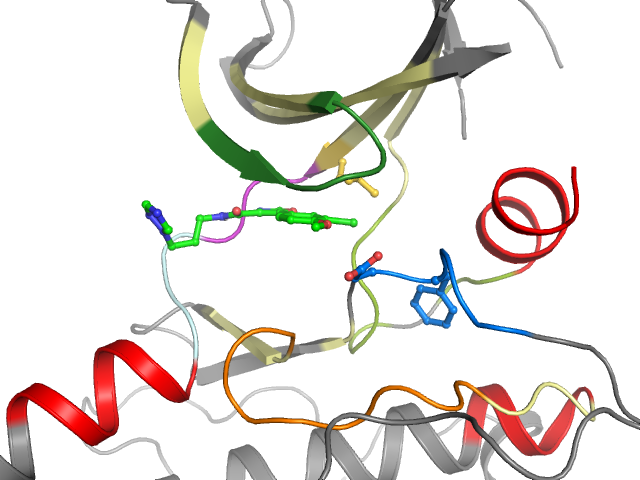 The orthosteric binding pocket