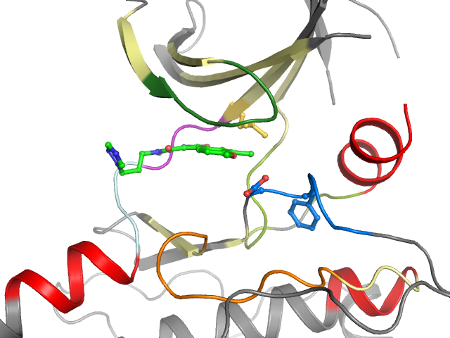 The orthosteric binding pocket