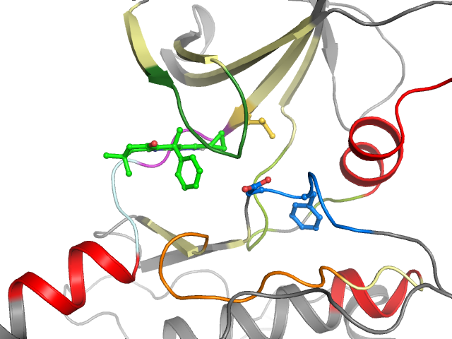 The orthosteric binding pocket