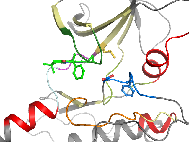 The orthosteric binding pocket